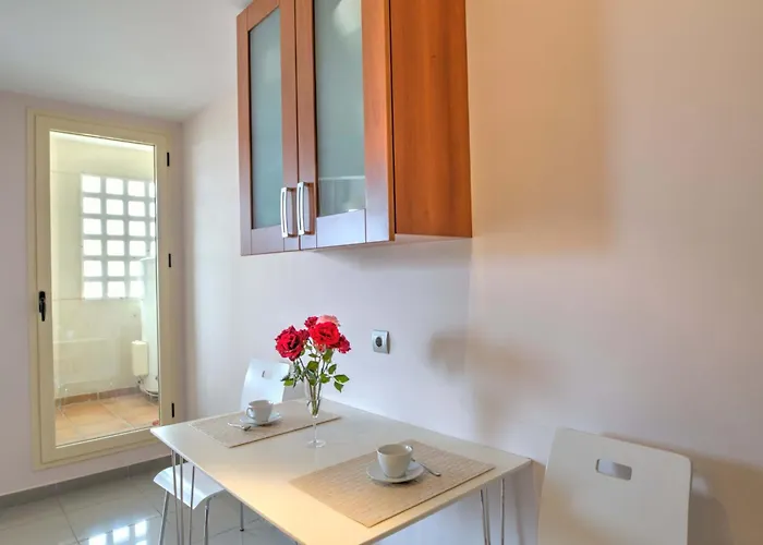 Colorlife * ماربيا